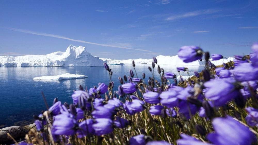 Serenity in Nature's Embrace wallpaper