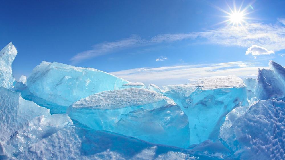 Frozen Serenity Under the Sunlight wallpaper