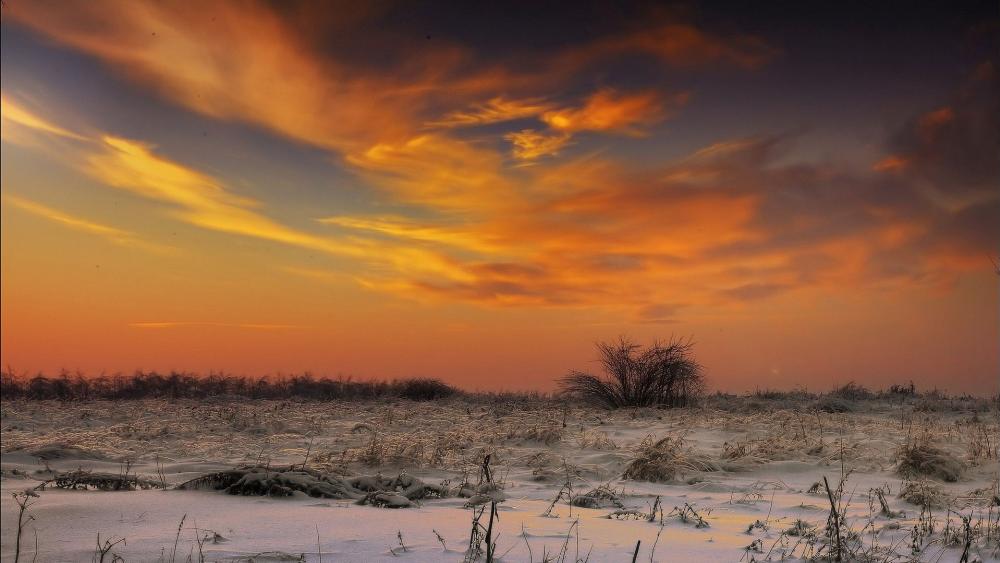 Serene Winter Sunset Over Snowy Landscape wallpaper