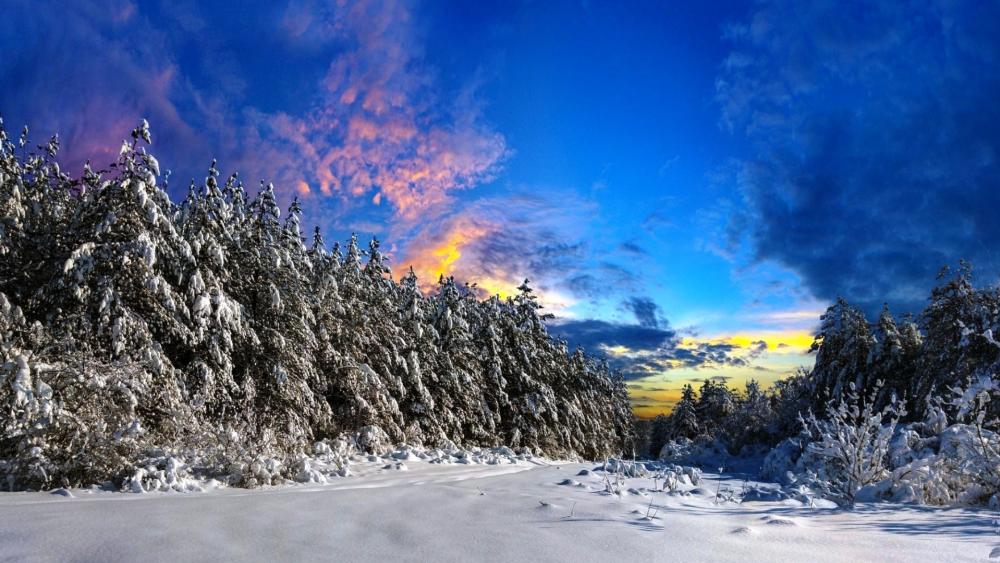 Serene Winter Landscape Under Colorful Sky wallpaper
