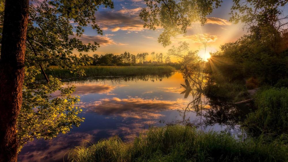 Serene Sunset by the Tranquil Lake wallpaper