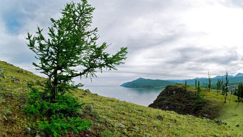 Tranquil Lake View Surrounded by Lush Greenery wallpaper