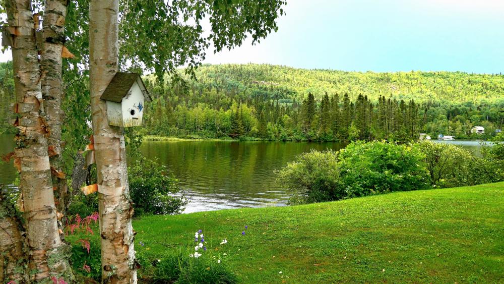 Serene Lakeside Retreat in Nature's Embrace wallpaper