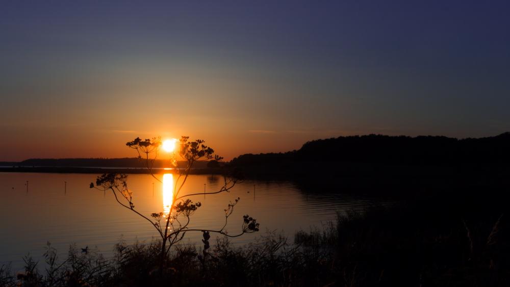 Serene Sunset Over Tranquil Waters wallpaper