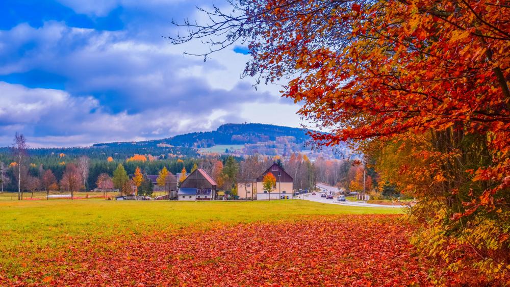 Wallpaper from nature category