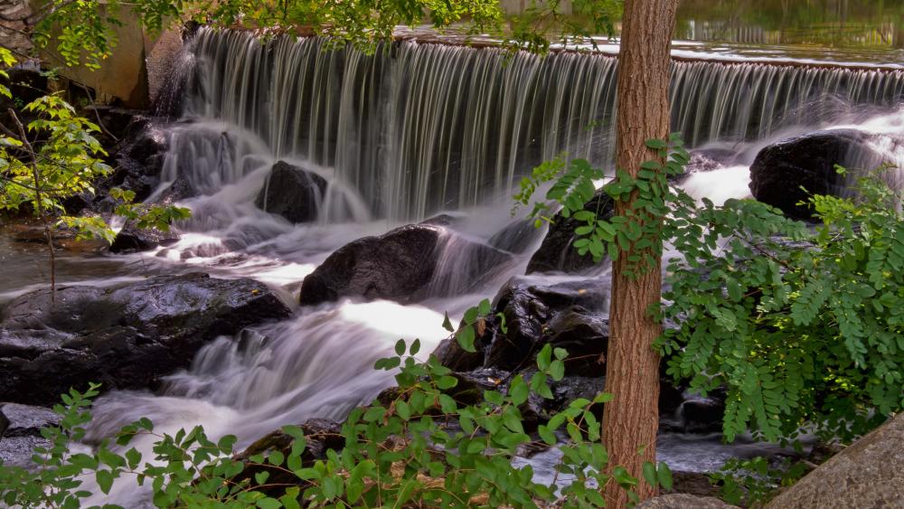 Serene Waterfall in Lush Greenery wallpaper