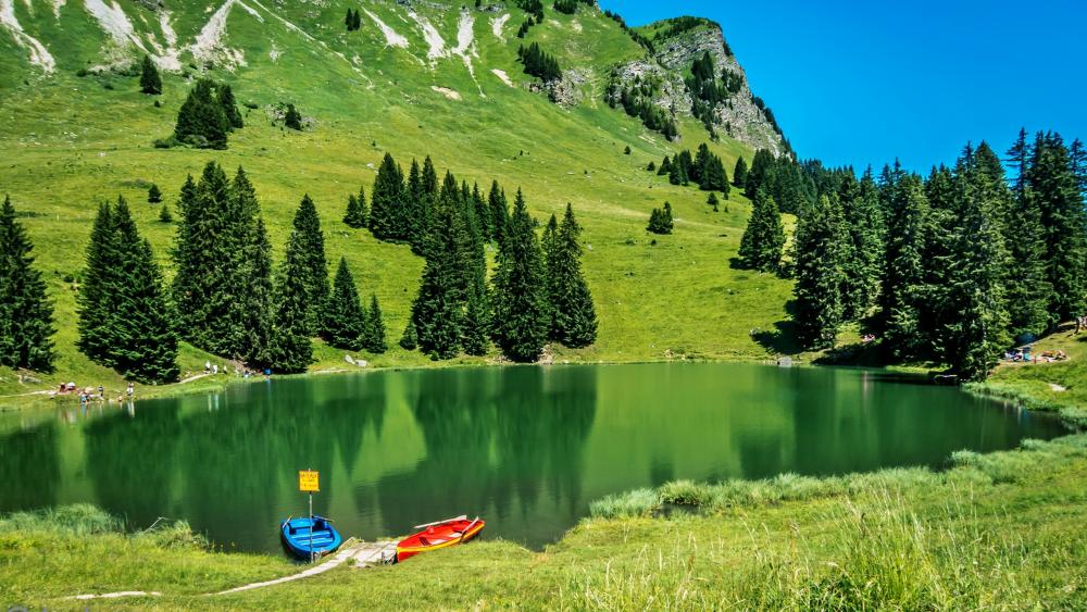 Serene Lake and Lush Green Hills wallpaper