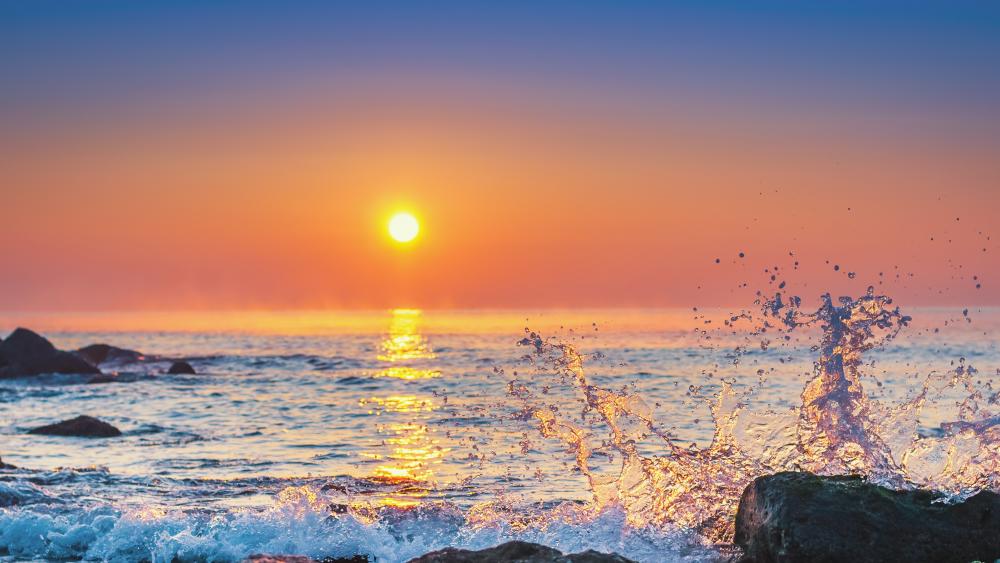 Sunset Waves on a Tranquil Shore wallpaper