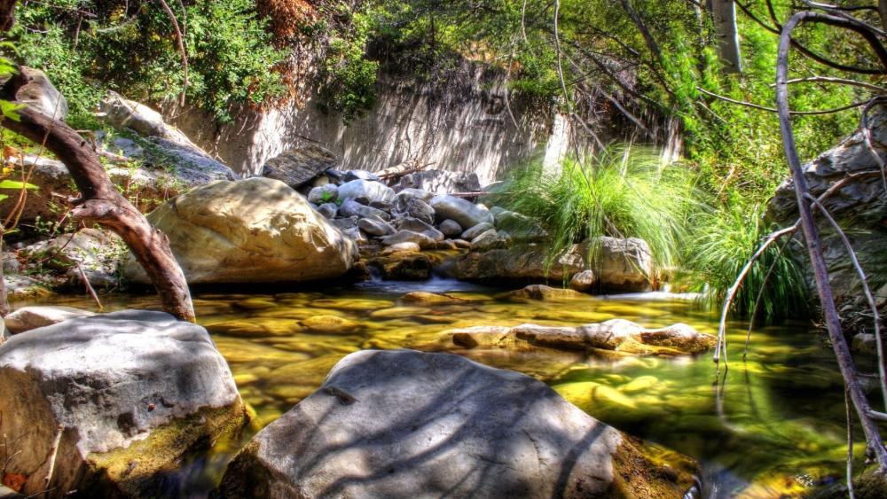 Wallpaper from nature category