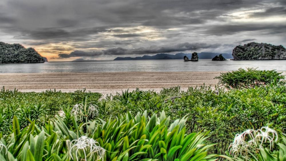Wallpaper from nature category
