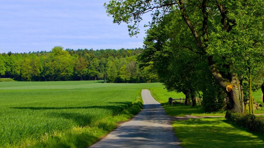 Tranquil Countryside Pathway Invites Exploration wallpaper