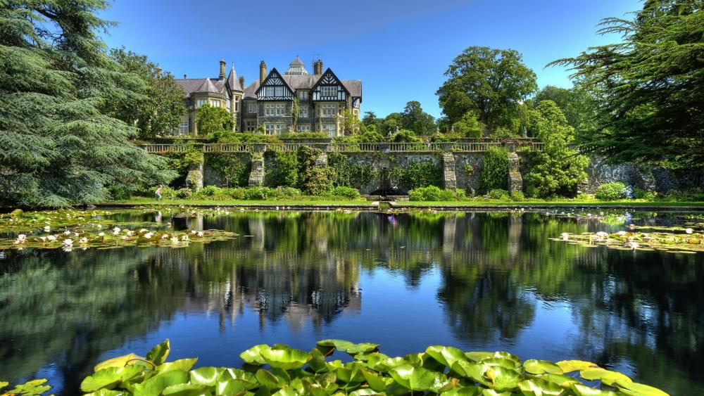 Tranquil Reflection in a Lush Garden Scene wallpaper