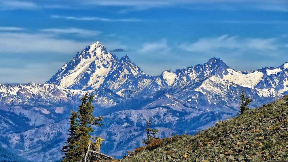 Wallpaper from nature category