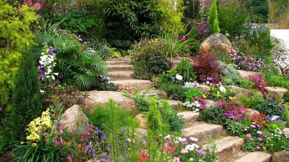 Colorful Garden Pathway Surrounded by Lush Flora wallpaper