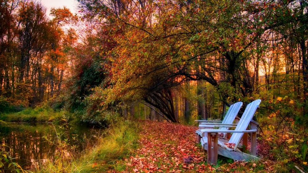 Wallpaper from nature category