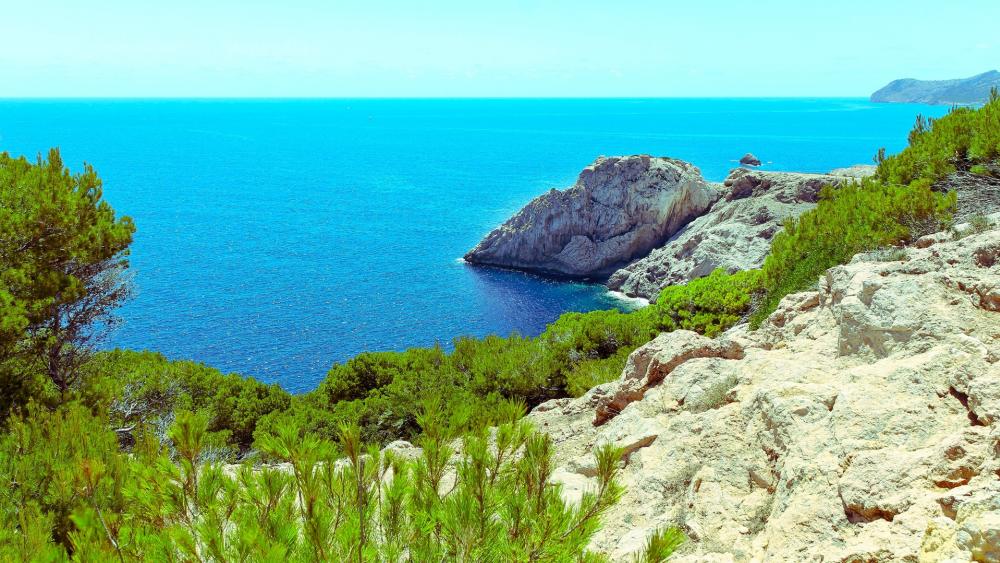 Tranquil Coastal Escape Amidst Vibrant Blue Waters wallpaper