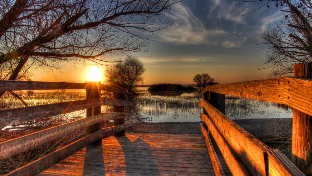 Wallpaper from nature category