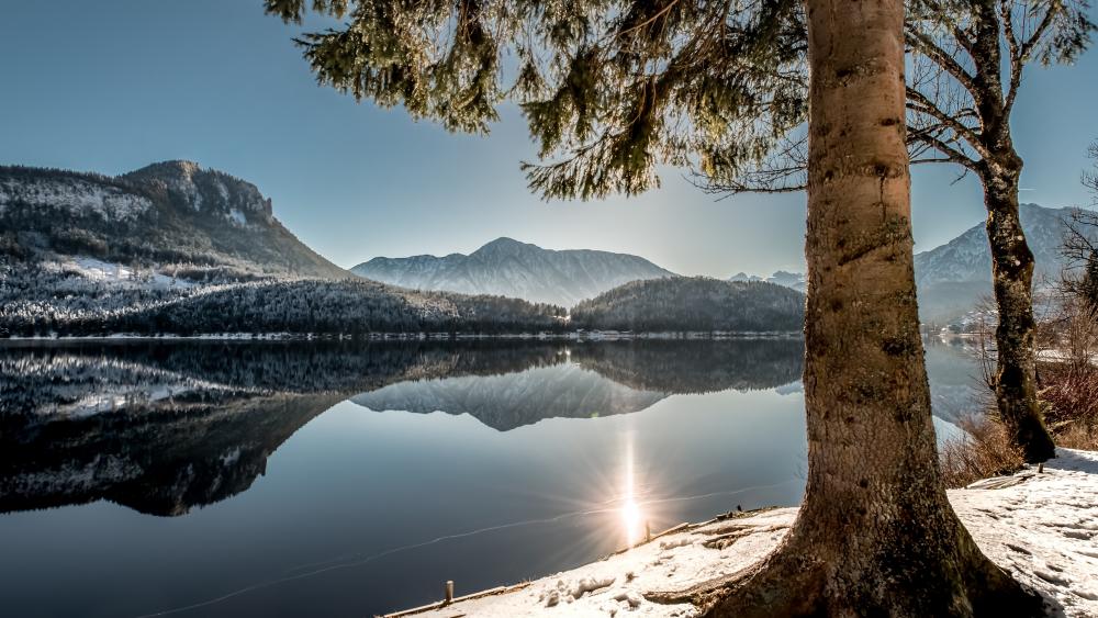Serene Winter Reflection in Nature wallpaper