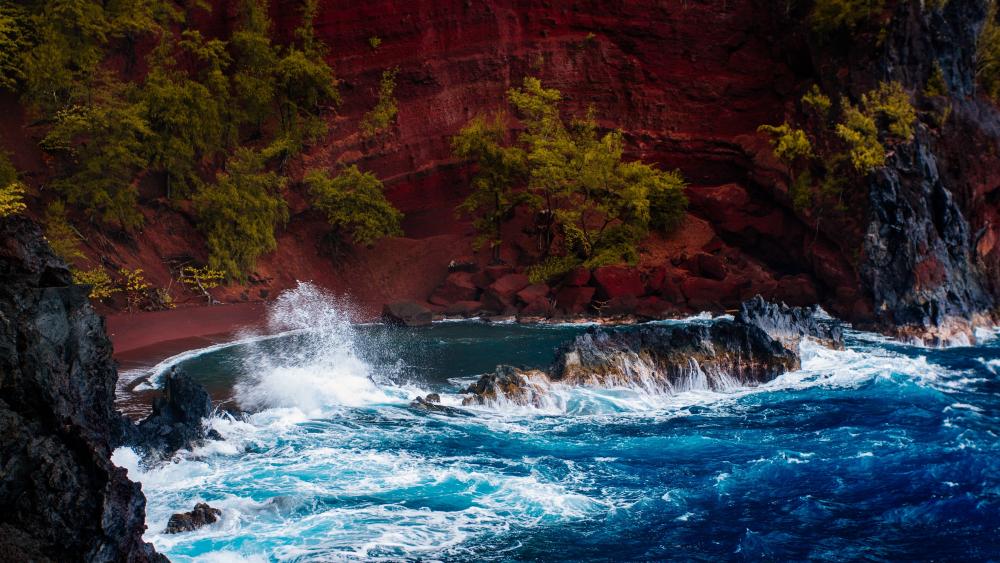Wallpaper from nature category