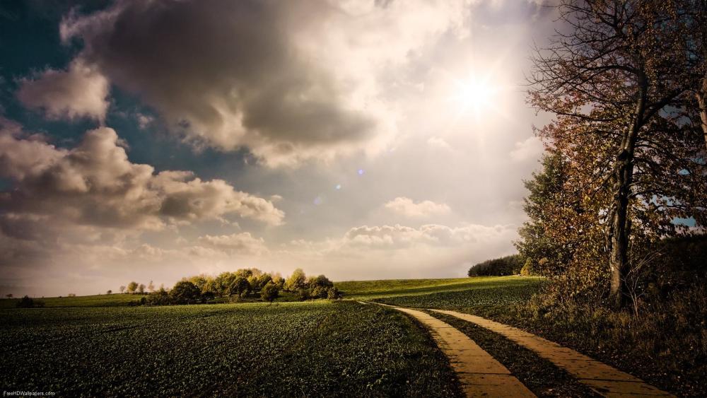 Serenity of Nature's Pathway Amidst Clouds and Sunlight wallpaper