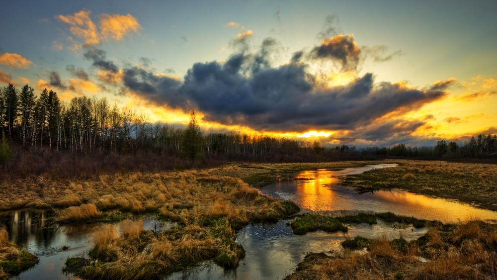 Serene Sunset Over Tranquil Marshland wallpaper