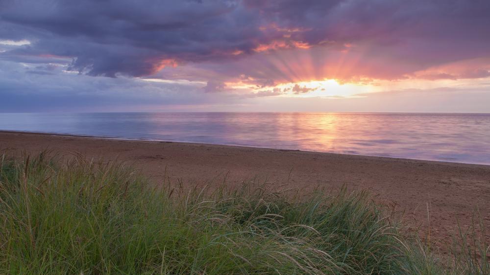 Shoreline Serenity at Sunset wallpaper