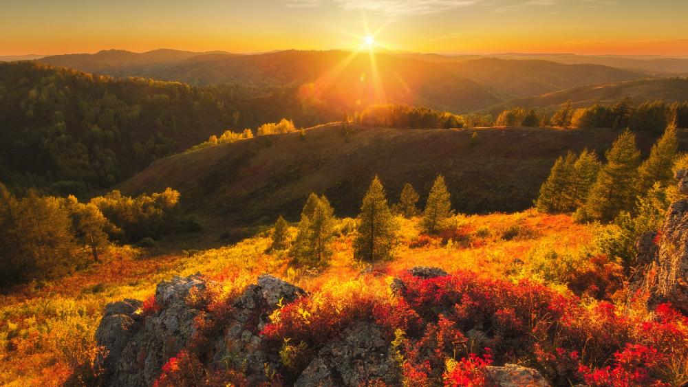 Vibrant Autumn Landscape at Sunrise wallpaper