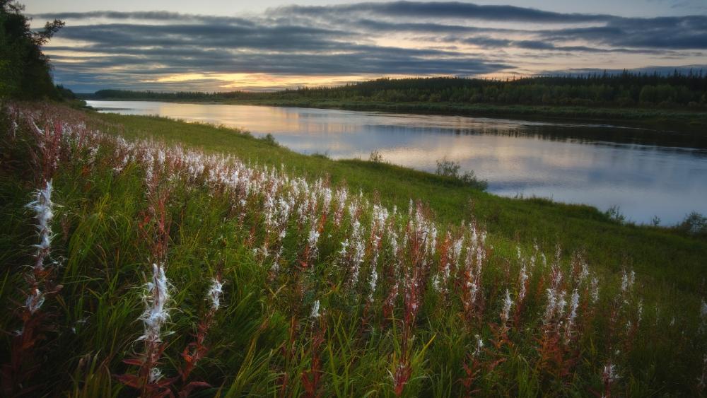 Serene Sunset Over Tranquil River Landscape wallpaper