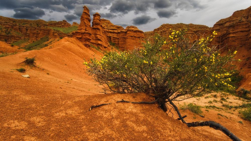 Majestic Desert Landscape Under Dramatic Sky wallpaper