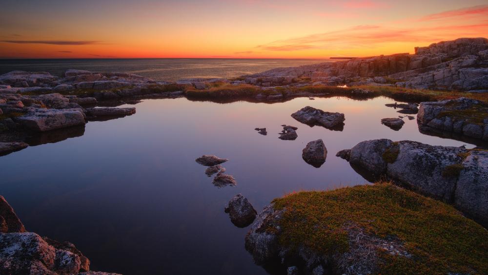 Wallpaper from nature category