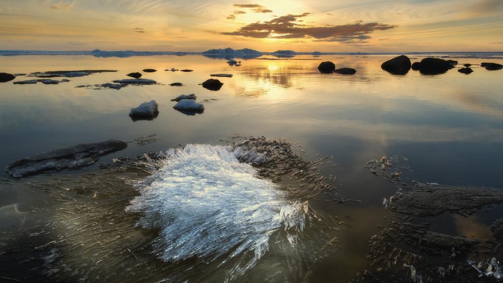 Wallpaper from nature category