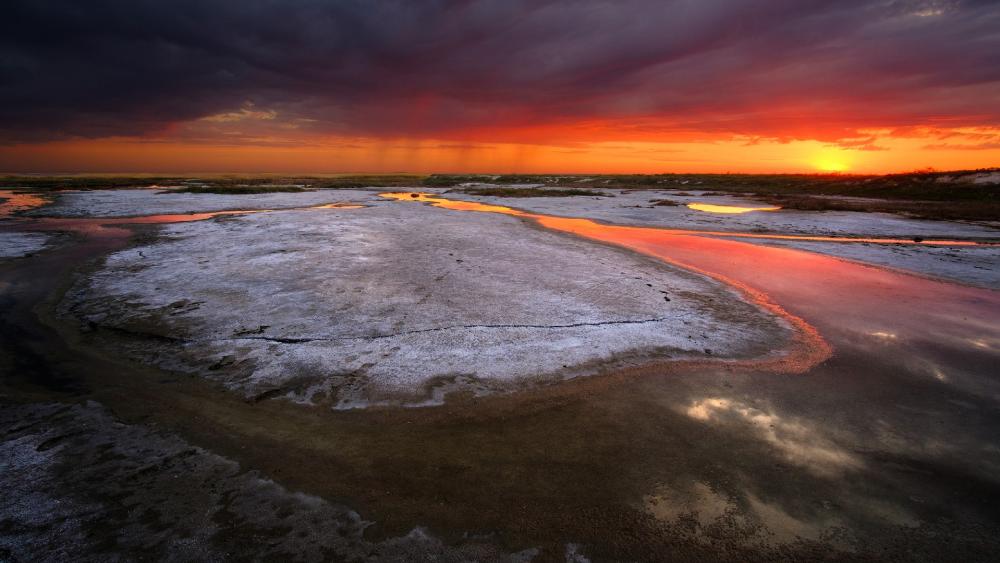 Stunning Sunset Over Tranquil Wetlands wallpaper