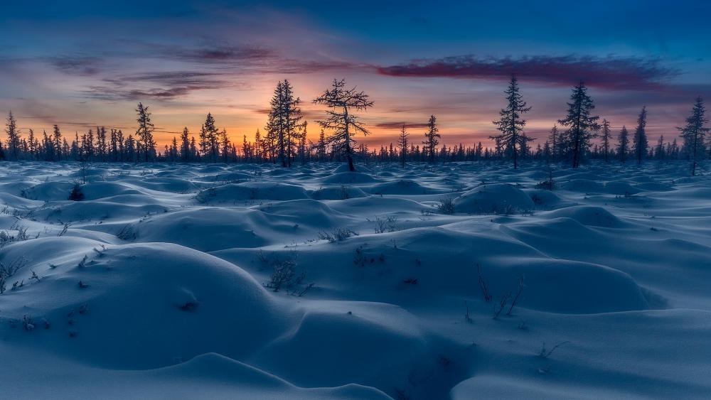 Majestic Winter Sunset in a Snowy Landscape wallpaper