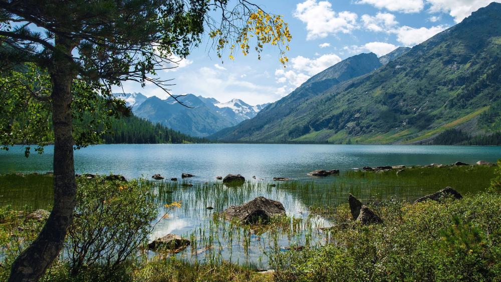 Serene Mountain Lake Amidst Lush Nature wallpaper