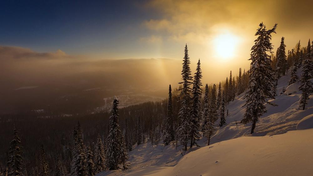 Majestic Winter Sunrise Over Snowy Peaks wallpaper