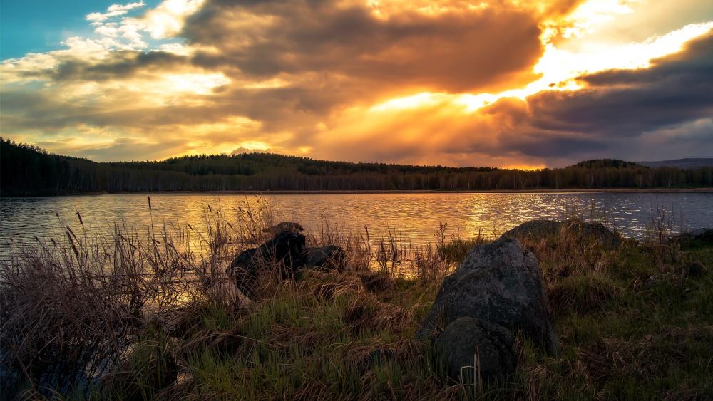Wallpaper from nature category