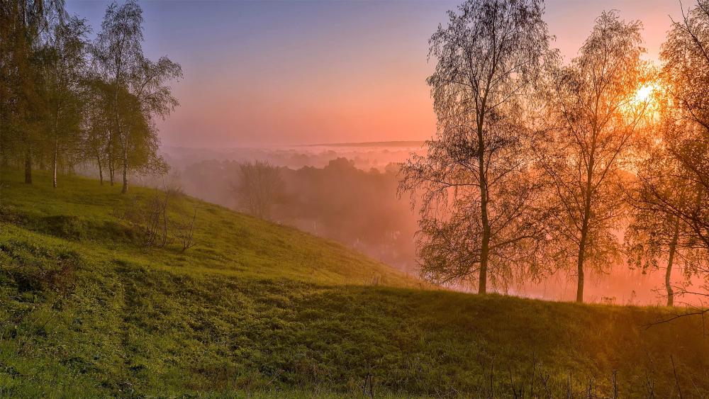 Serene Misty Sunrise Over Rolling Hills wallpaper
