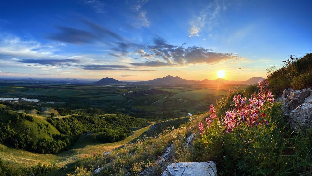Serene Sunset Over Rolling Hills and Wildflowers wallpaper