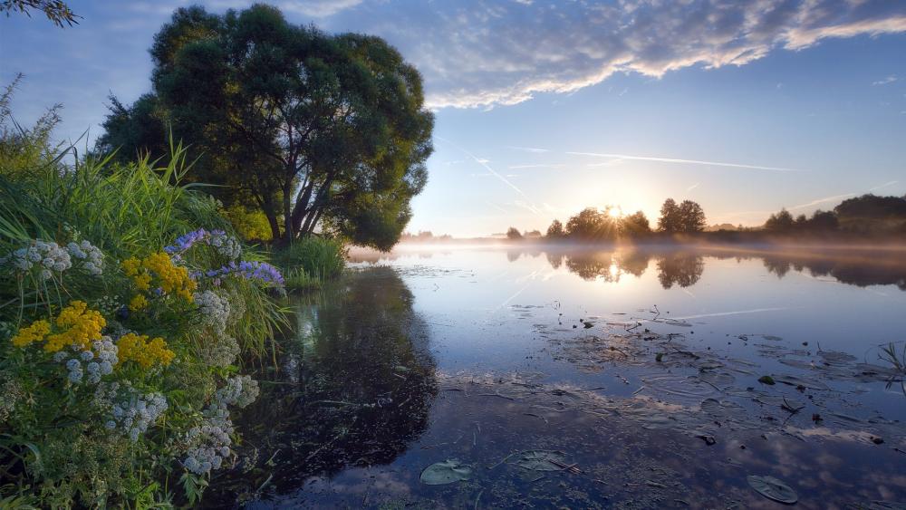 Serene Morning Reflections by the Water wallpaper