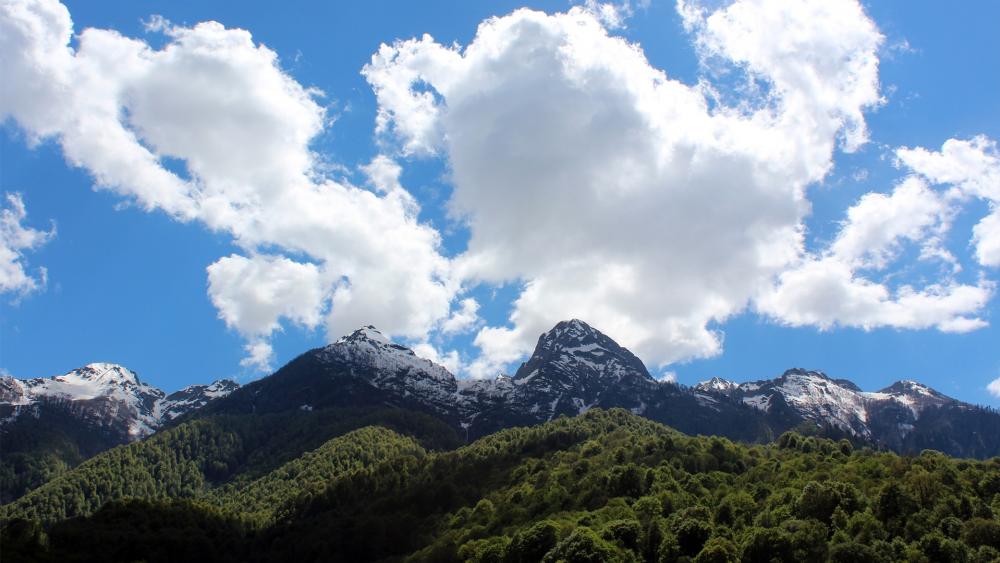 Wallpaper from nature category