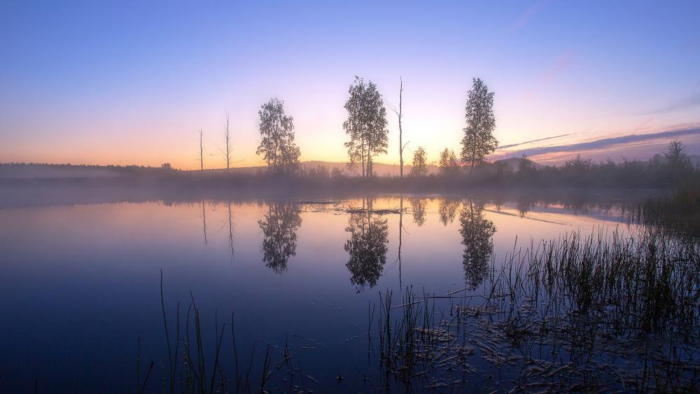 Tranquil Reflections at Dawn wallpaper