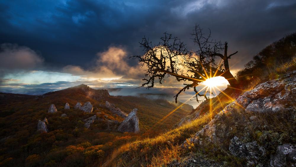 Radiant Sunset Over Majestic Mountains wallpaper