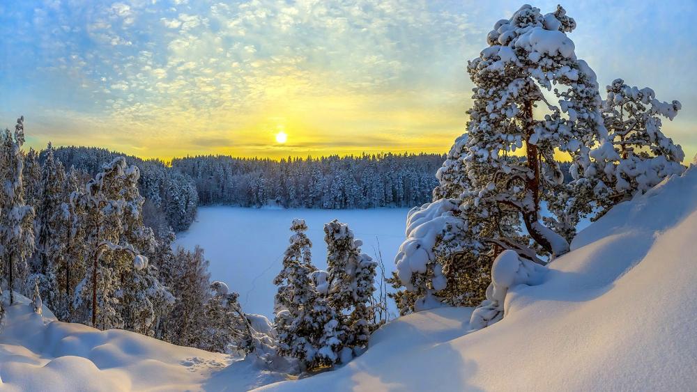 Wallpaper from nature category