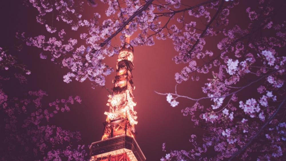 Wallpaper from city category