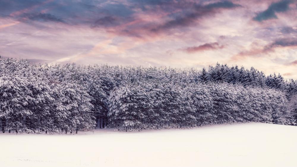 Majestic Winter Wonderland Scene wallpaper