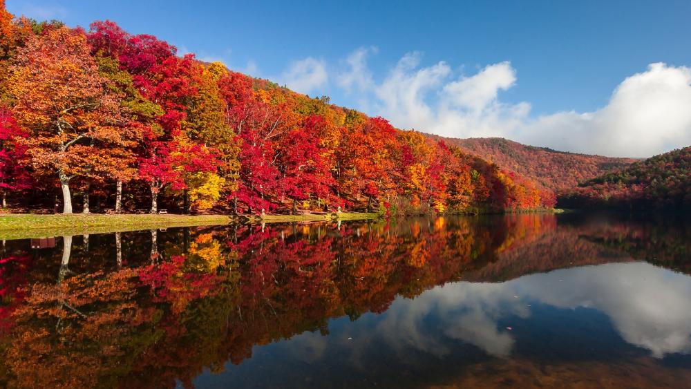 Autumn Serenity Reflected in Water wallpaper