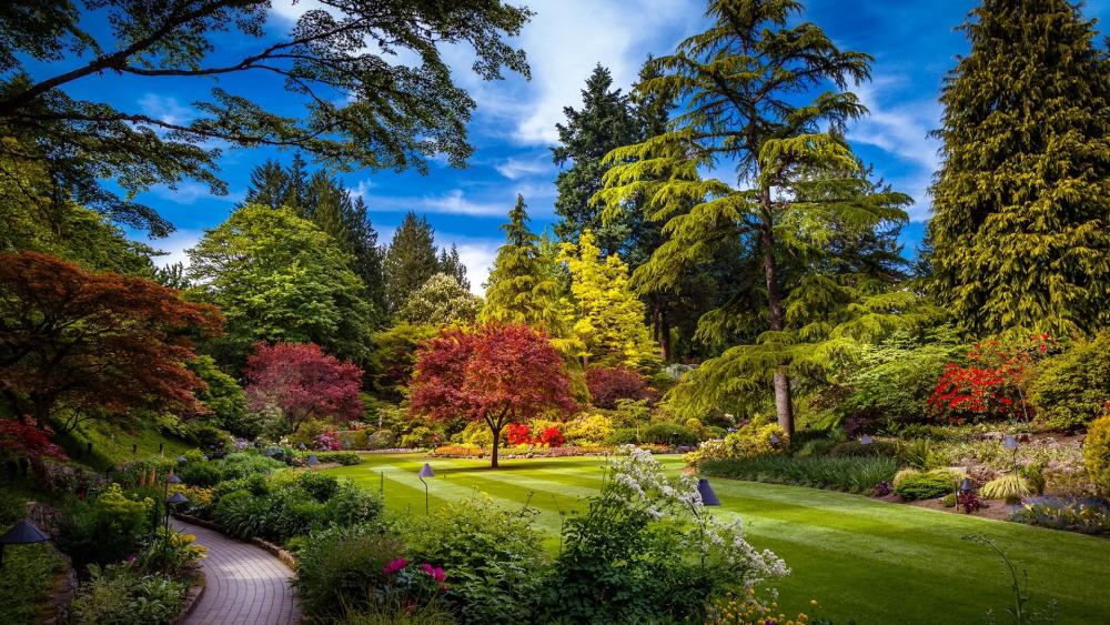 Serene Garden Oasis Surrounded by Vibrant Nature Elements wallpaper