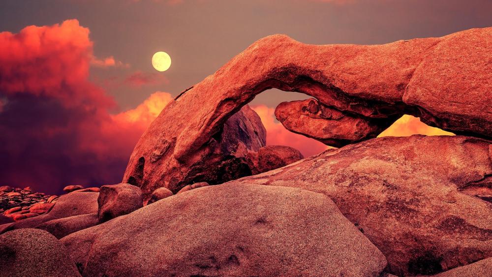 Wallpaper from nature category