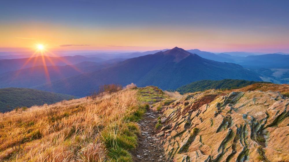 Wallpaper from nature category