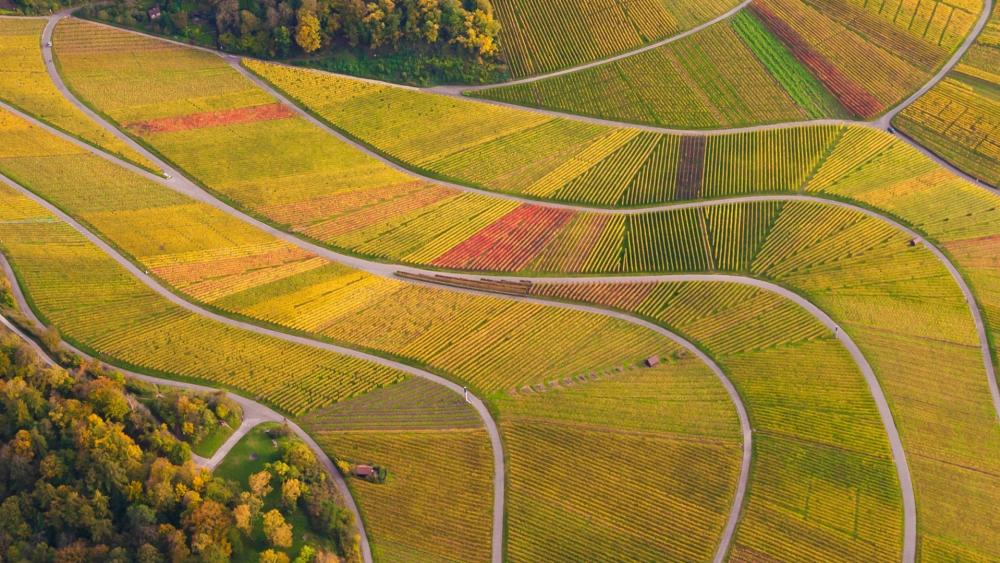 Vibrant Patchwork of Nature’s Fields wallpaper